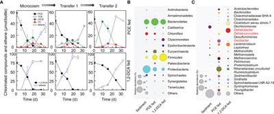 Effects of Heavy Metal Ions on Microbial Reductive Dechlorination of 1, 2-Dichloroethane and Tetrachloroethene